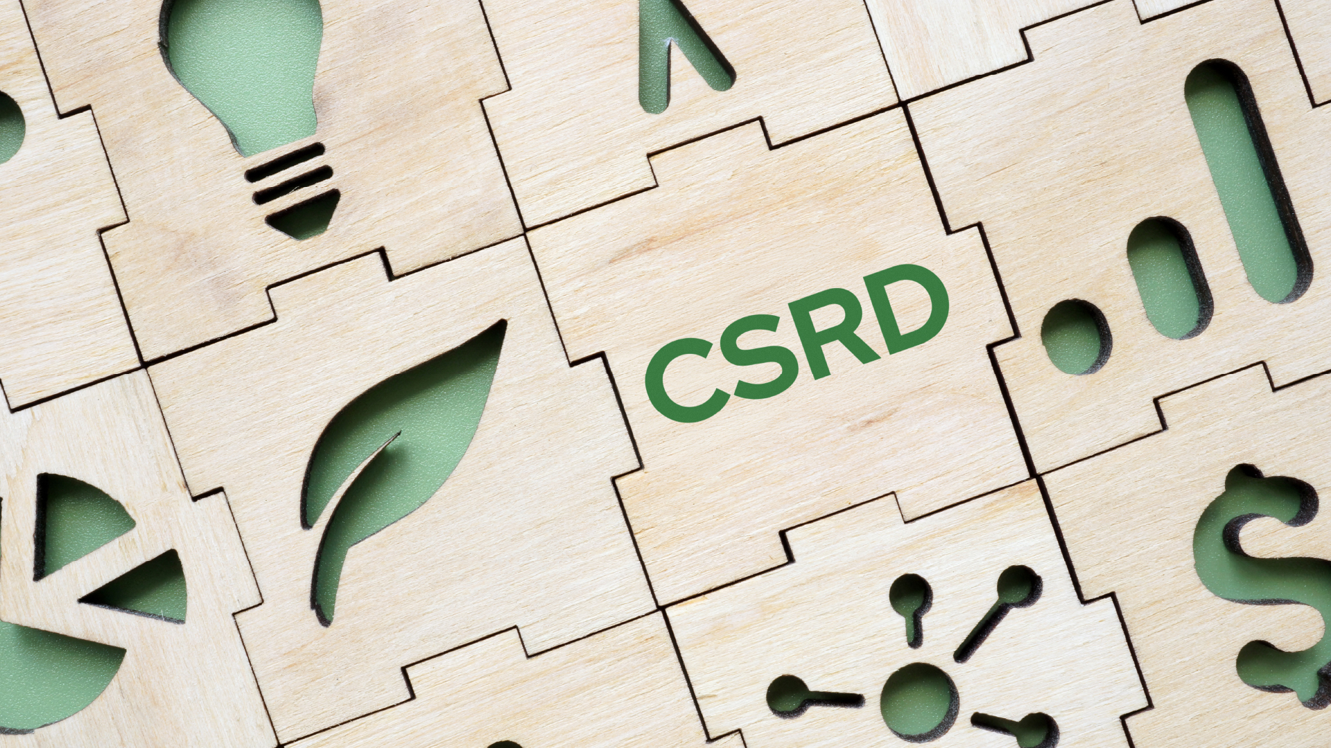 Nachhaltigkeit: Keine Angst vor der CSRD